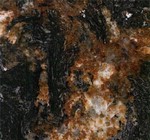 Black Fusion (Бразилия)