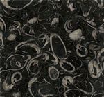 Sea Shell Marble (Китай)