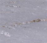 China Palissandro Marble (Китай)