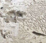 Copenhagen Granite