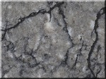 Thunder Grey